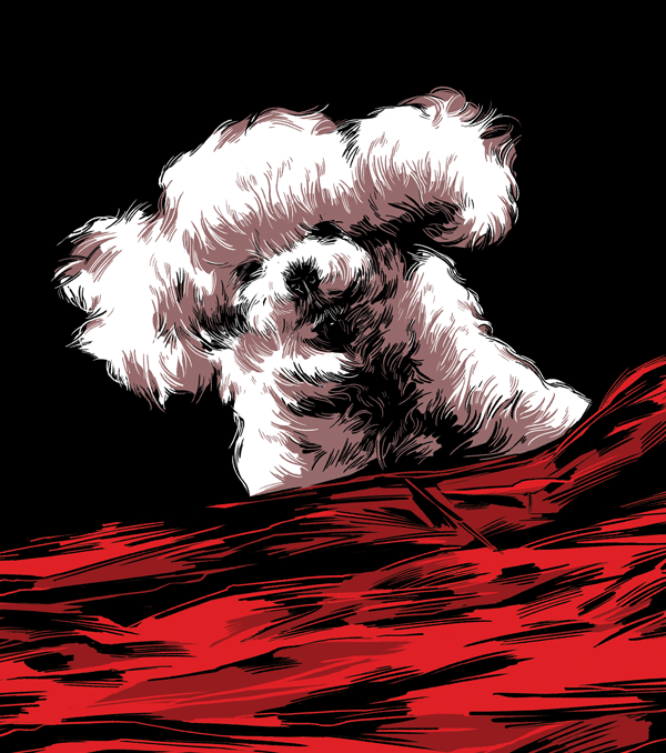 dibujo ilustracion de un perro balnco