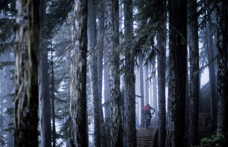 rider en mountain bike por un bosque
