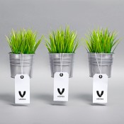 Diseño de etiquetas para plantas de maksim