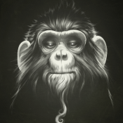 Ilustracion de un mono