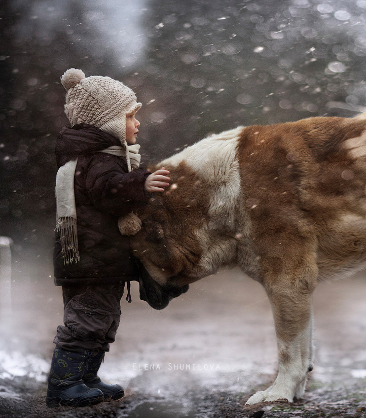 niño con un perro bajo la nieve