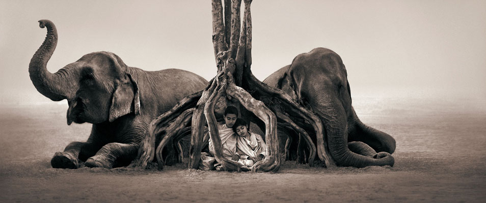 Niños con elefantes fotografía de Gregory Colbert