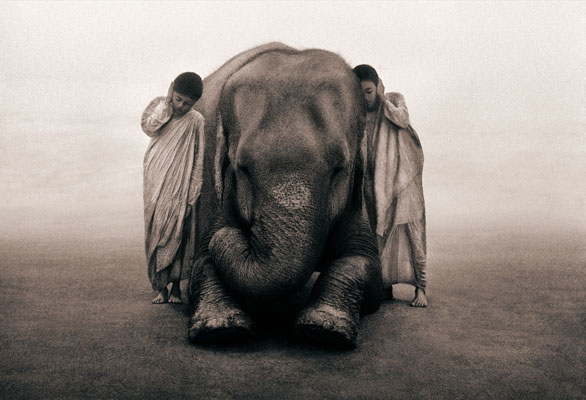 Dos niños con un elefante por el artista Gregory Colbert