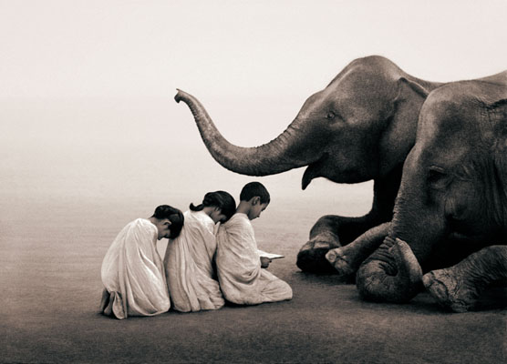 Tres niños leyendo delante de un elefante