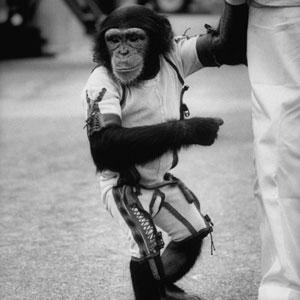 Ham, el primer chimpancé astronauta