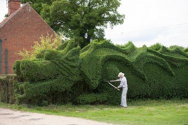 Este hombre lleva más de 10 años conviertiendo su jardín en un dragón