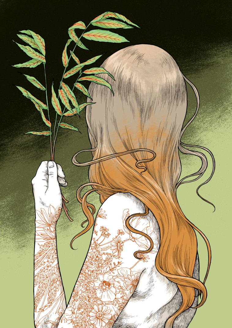Joanna Krotka illustration 4
