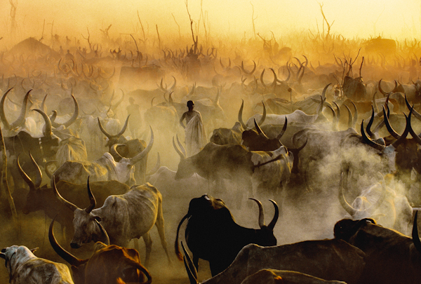 Dinka Cattle Camp at Sunset, South Sudan