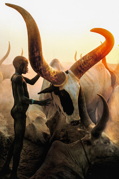 Dinka Boy with Long Horned Bull, South Sudan