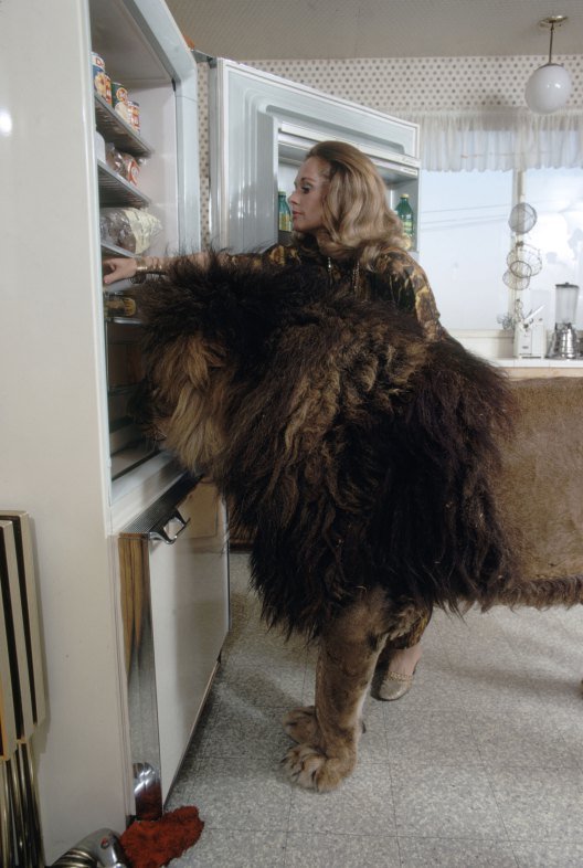 tippi hendren con su leon neil cogiendo cosas del frigorifico