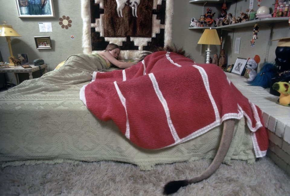 Melanie Griffith durmiendo con su leon y taados con una manta