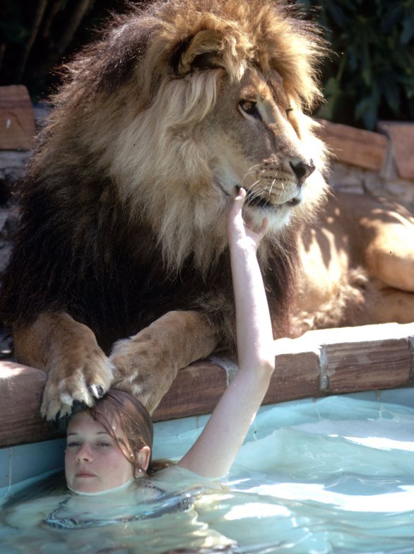 Melanie Griffith tocando la boca de su leon neil