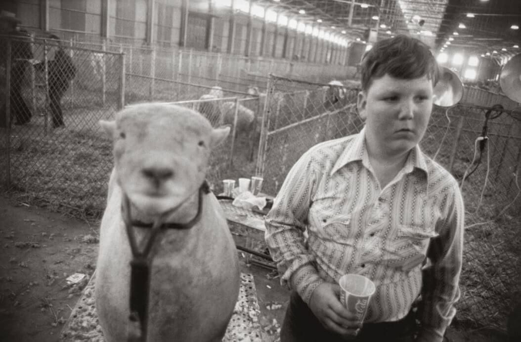 Niño con un vaso en la mano junto a una oveja fotografiado por Garry Winogrand 