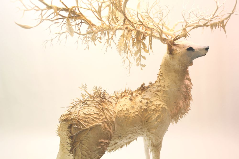 escultura de un ciervo creada con plantas por Ellen Jewett