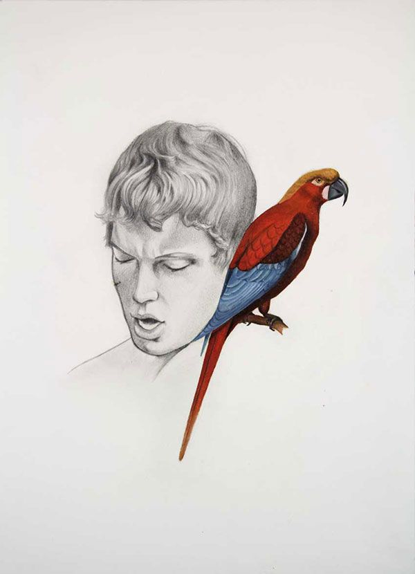 «Los pájaros» versión Luca Mantovanelli