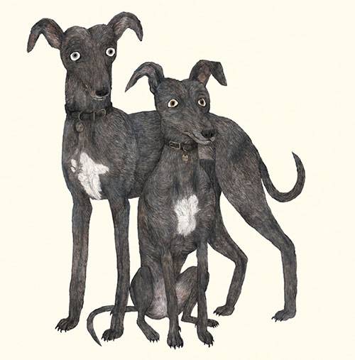Ilustracion de perros galgo