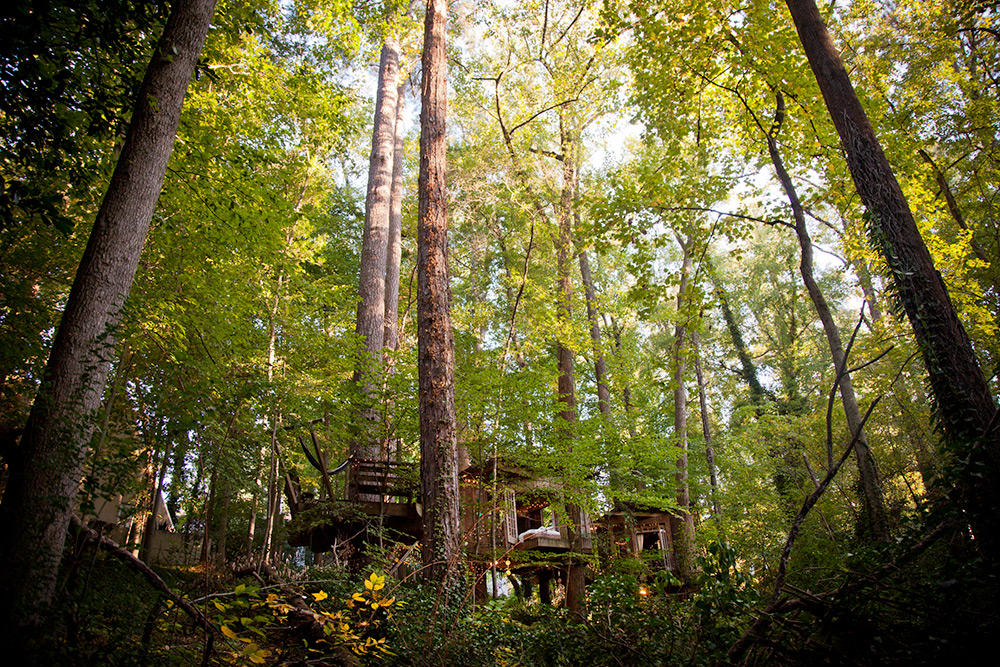 tree house architecture oldskull 8
