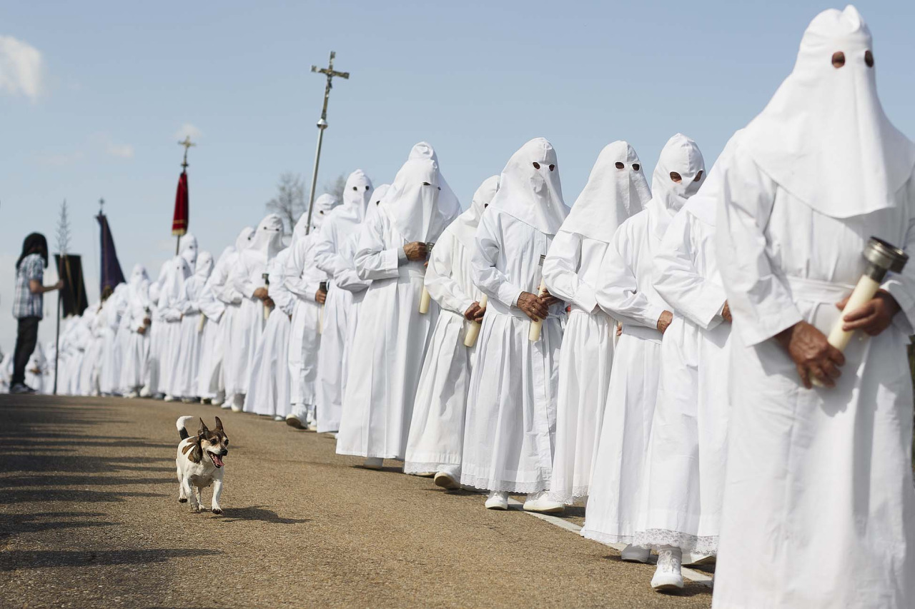 A dog runs as he follows the penitents taking part in the Good Friday 'Del Santo Entierro' procession during Holy Week in the small village of Bercianos de Aliste, northern Spain, March 18, 2014. The clothes worn by the Berciano's penitents will be used as their own shrouds when they die, according to the tradition. Hundreds of processions take place throughout Spain during the Easter Holy Week.(AP Photo/Daniel Ochoa de Olza)