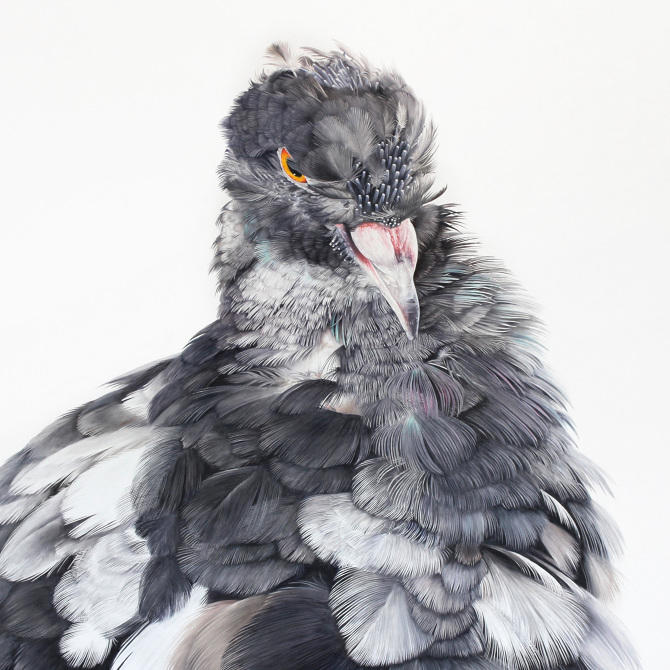 Adele Renault Paints Incredibly Realistic Pigeon (10)