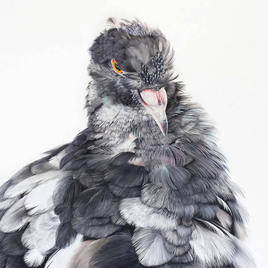 Adele Renault Paints Incredibly Realistic Pigeon (3)