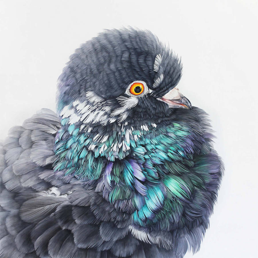 Adele Renault Paints Incredibly Realistic Pigeon (5)