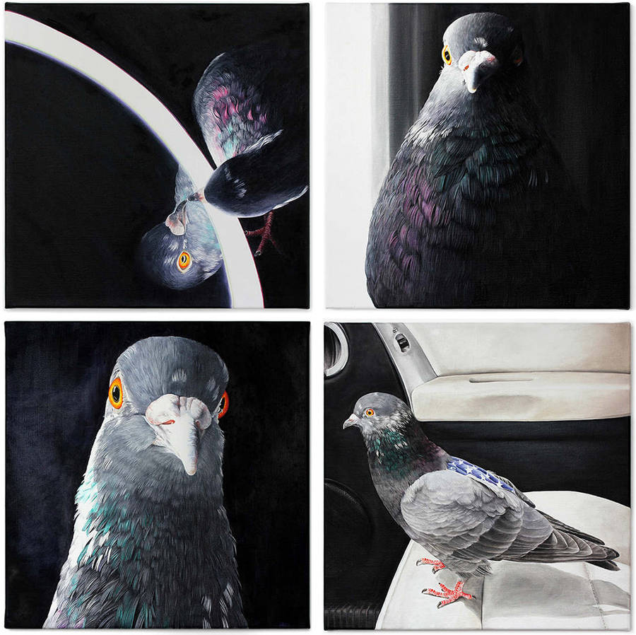 Adele Renault Paints Incredibly Realistic Pigeon (6)