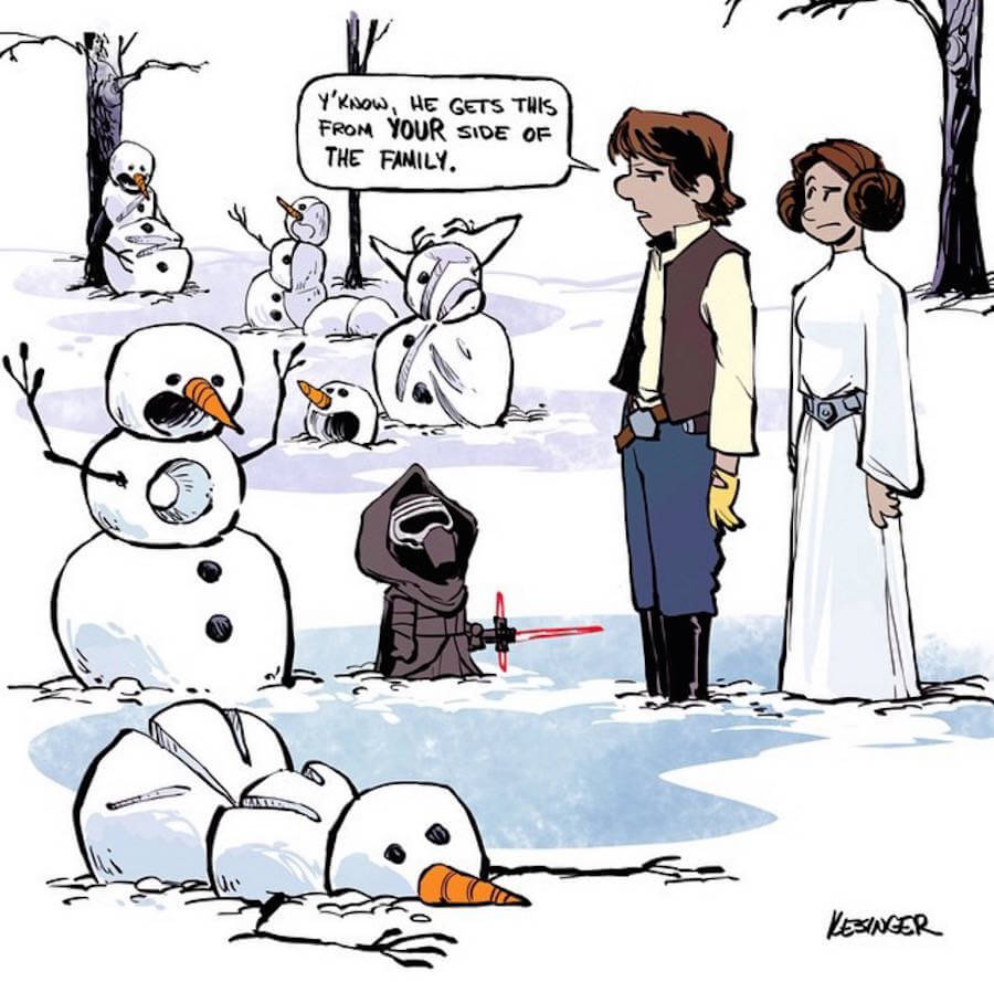 Star Wars Meets Calvin and Hobbes Comics (1)