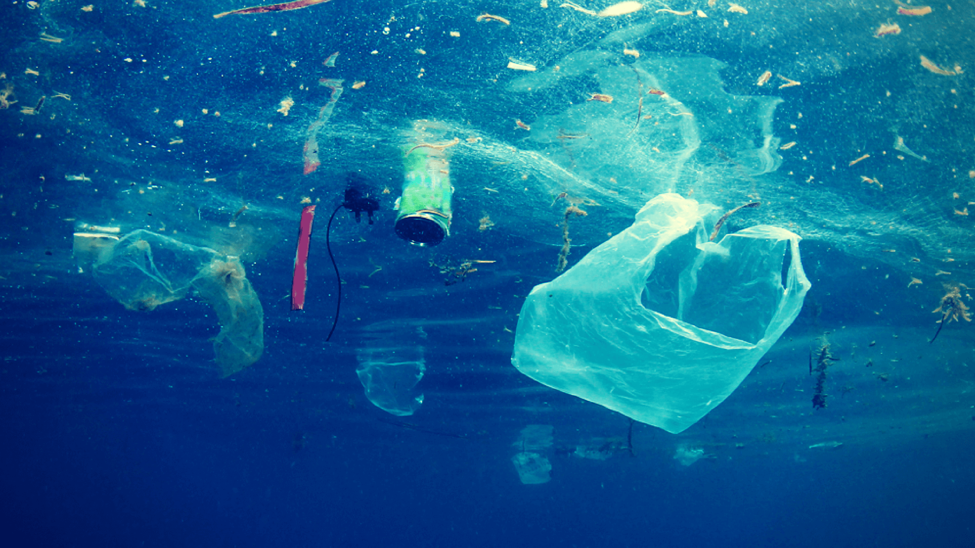 contaminacion plastico