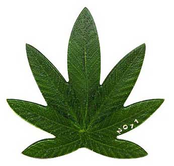 Moneda hoja de cannabis olor