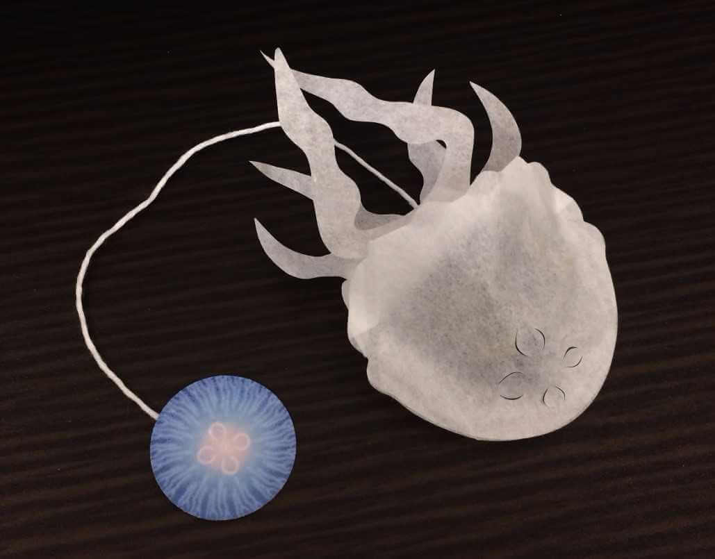 ocean tea bag meduza