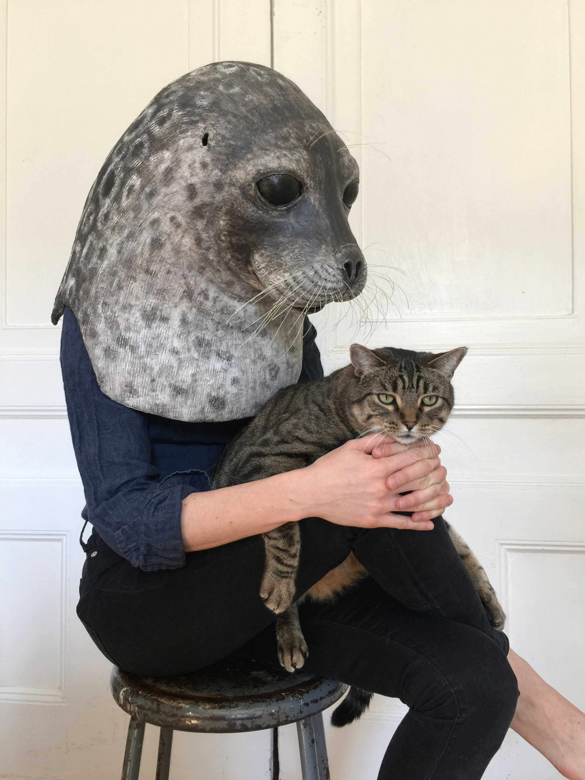 Mascara de pepel de foca