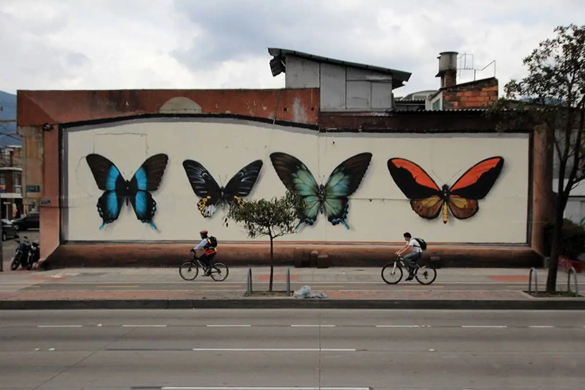coleccion de mariposas mantra arte callejero