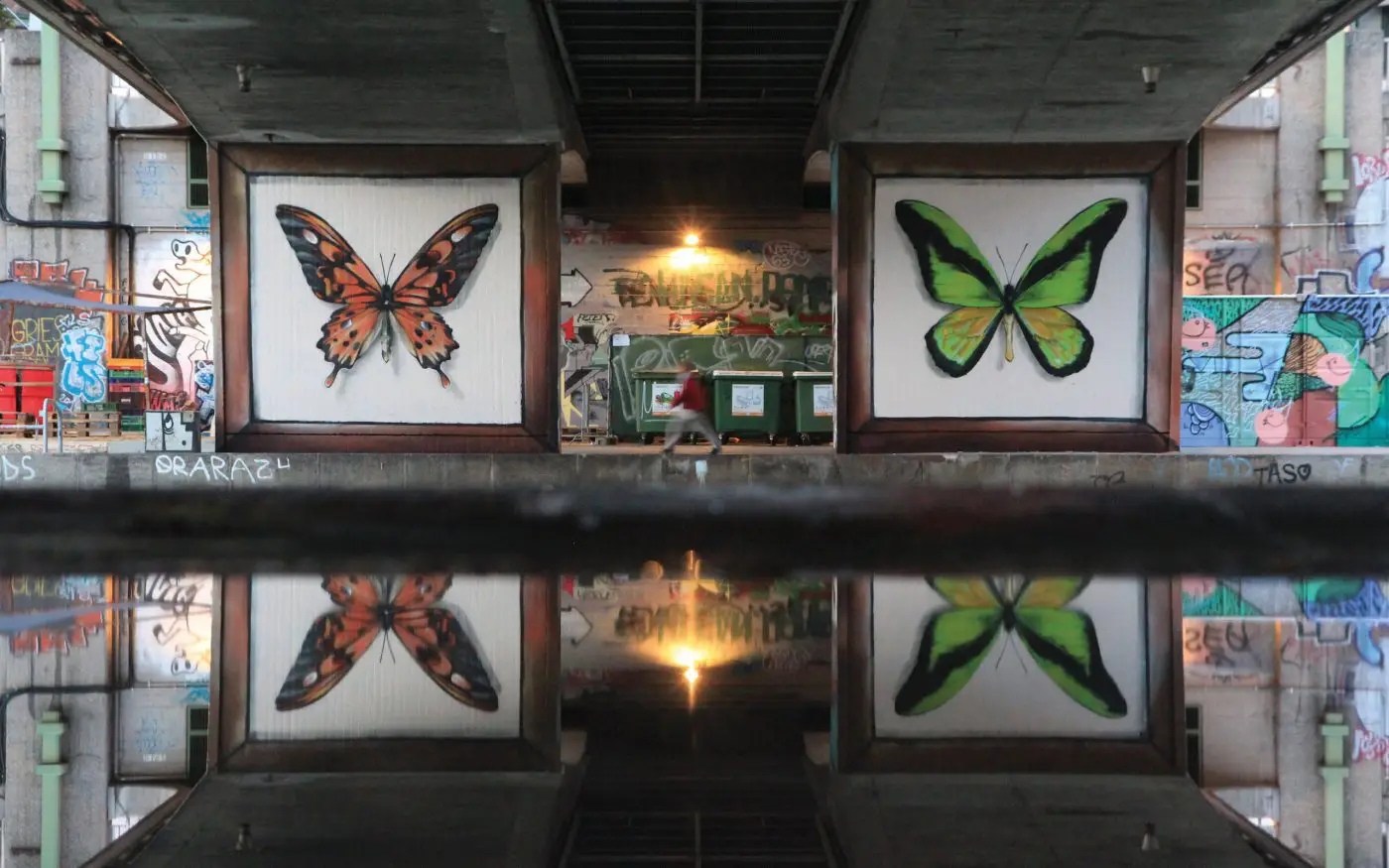 coleccion de mariposas mantra artista