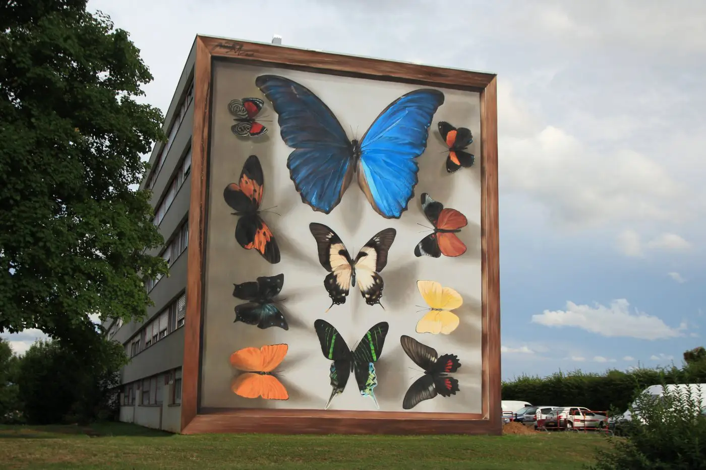 coleccion de mariposas mantra street art