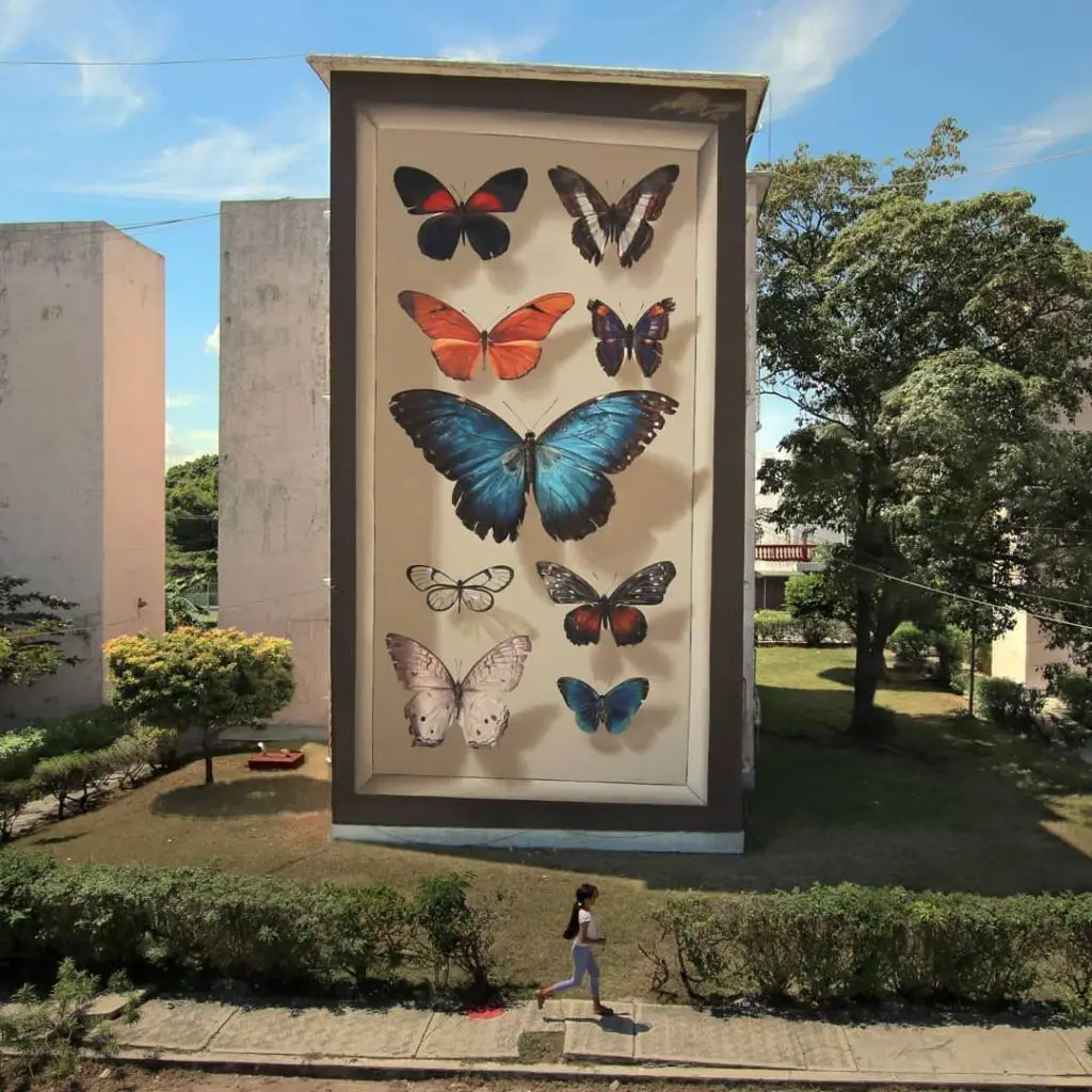 coleccion de mariposas mantra tridimensional