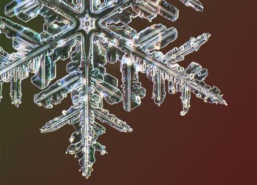 Fotografía de ultra alta resolución revela microscópicos detalles de los cristales de nieve