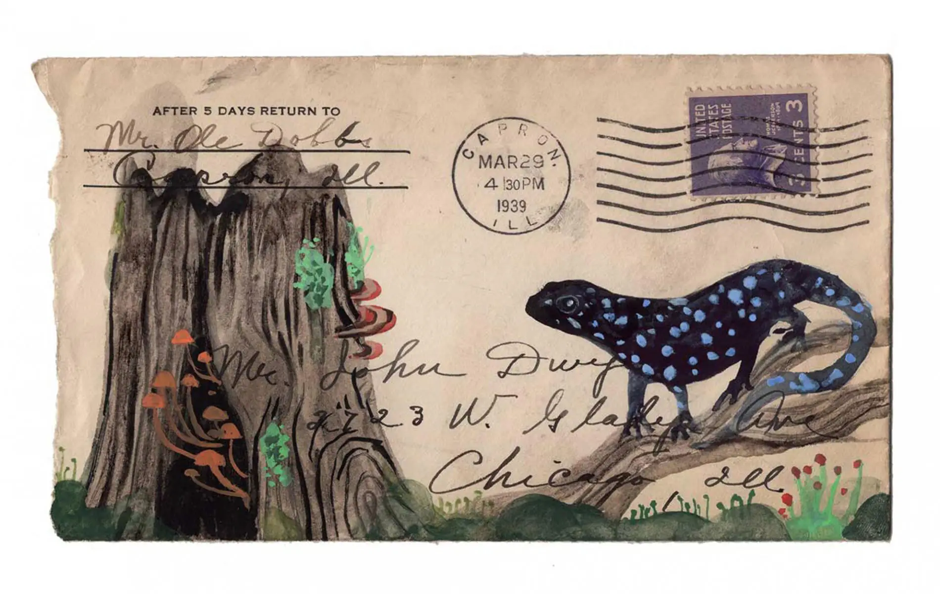postales animales diana sudyka salamandra