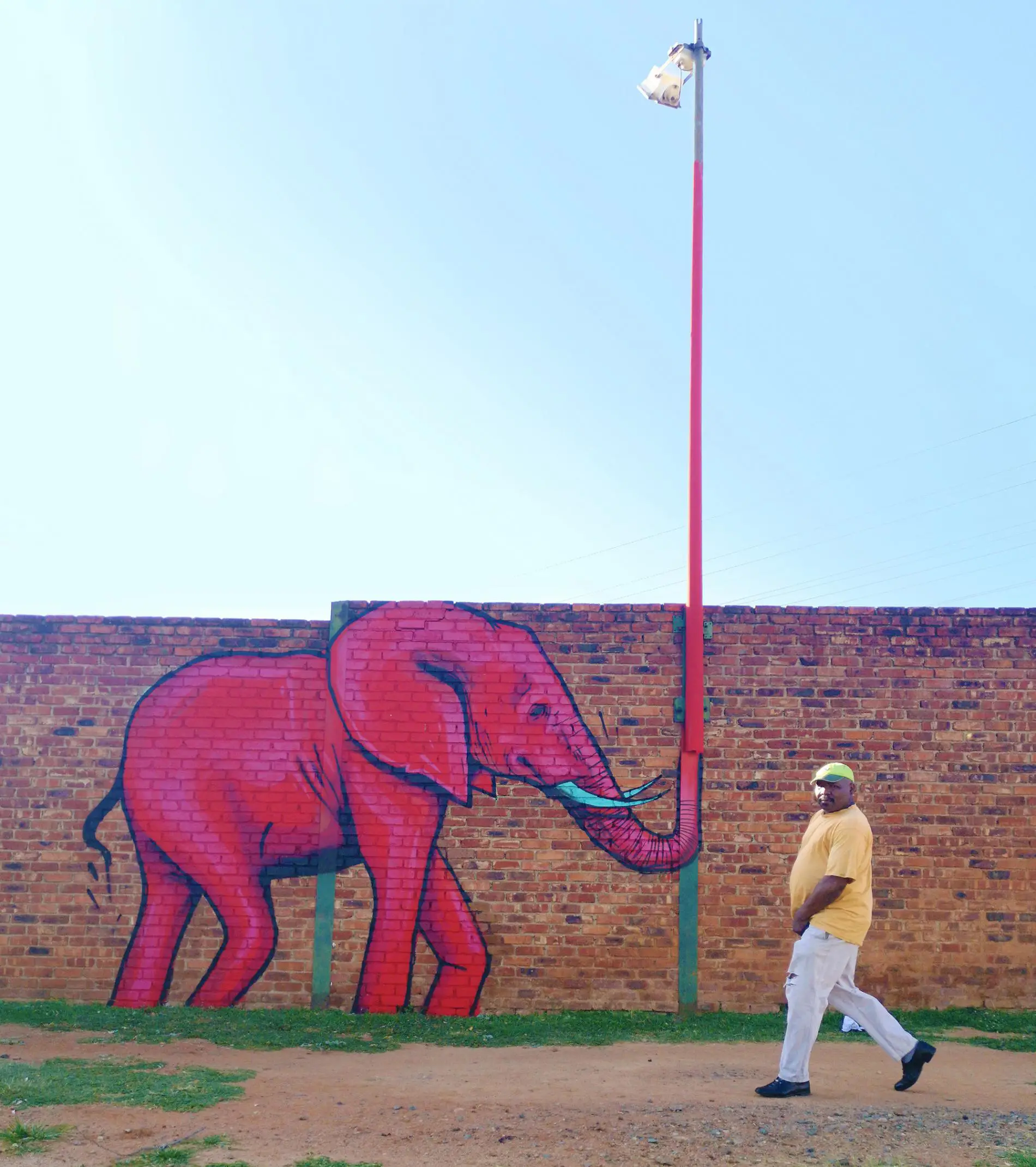falko one elefantes sudafrica poste