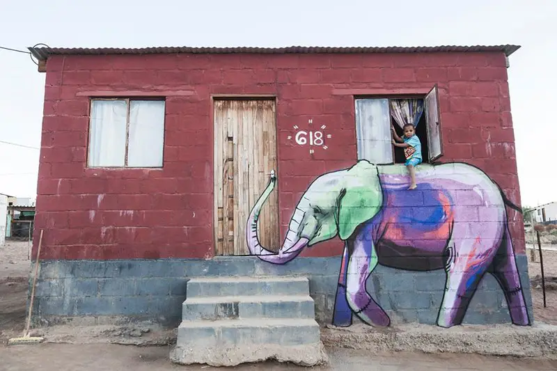 falko one elefantes sudafrica