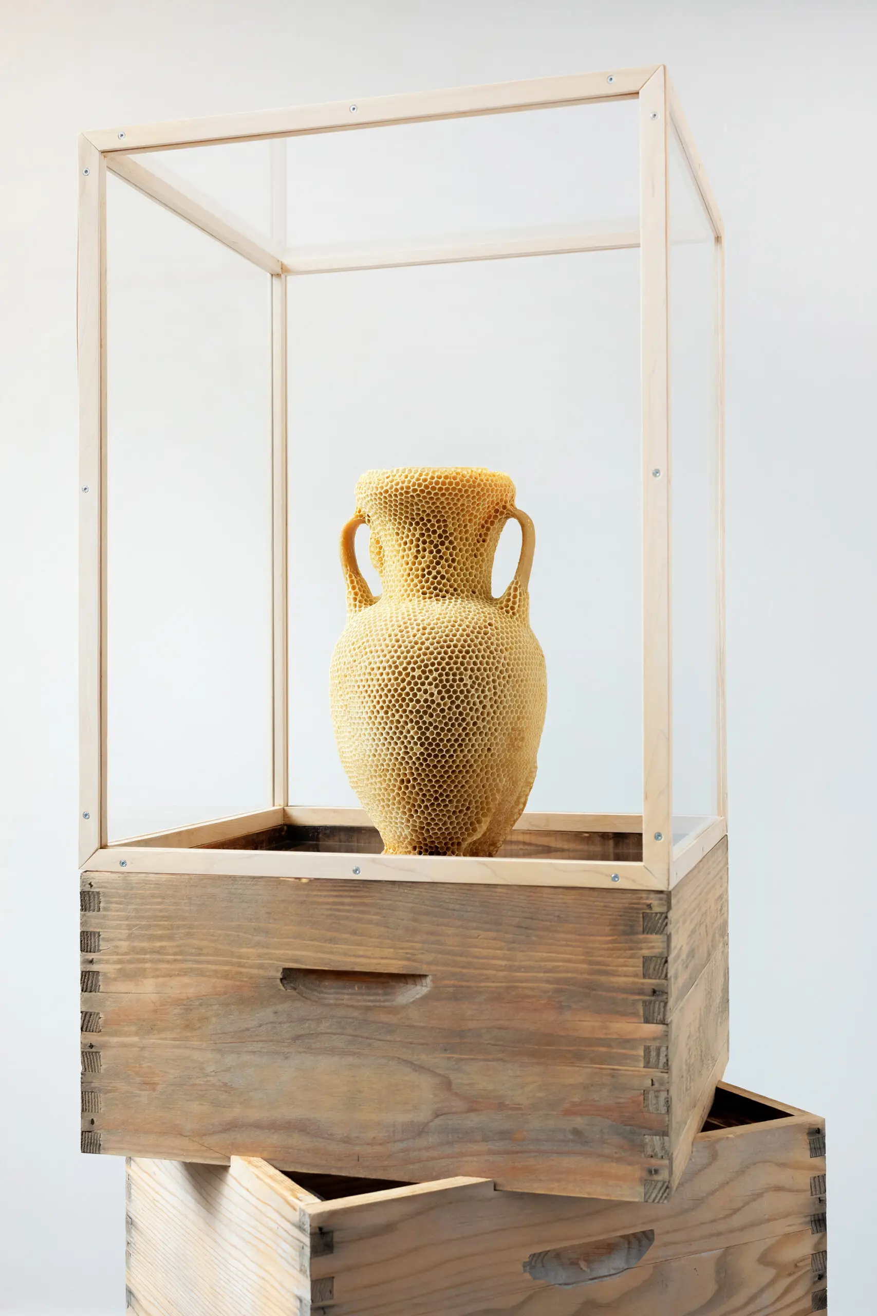 The Honeycomb Amphora tomas libertini exhibida