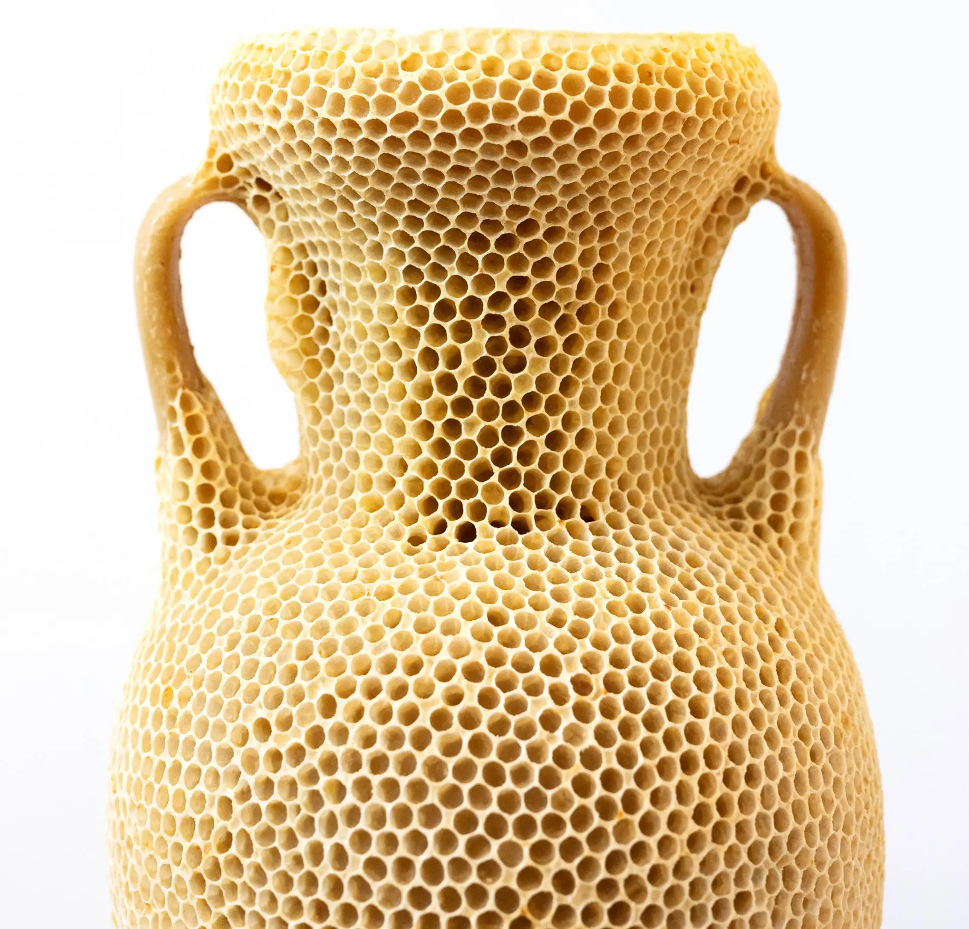 The Honeycomb Amphora tomas libertini