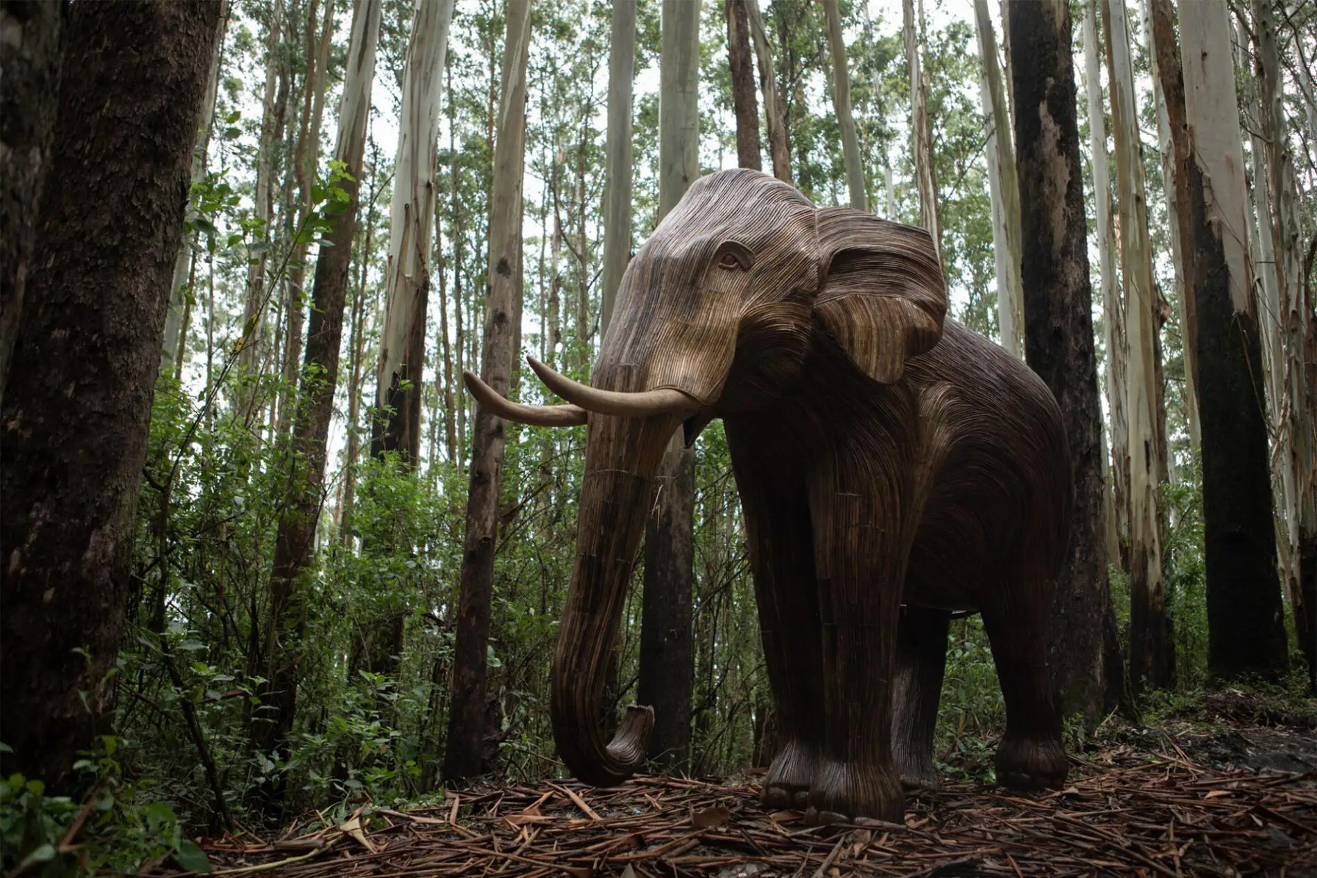 elephant escultura manada bosque