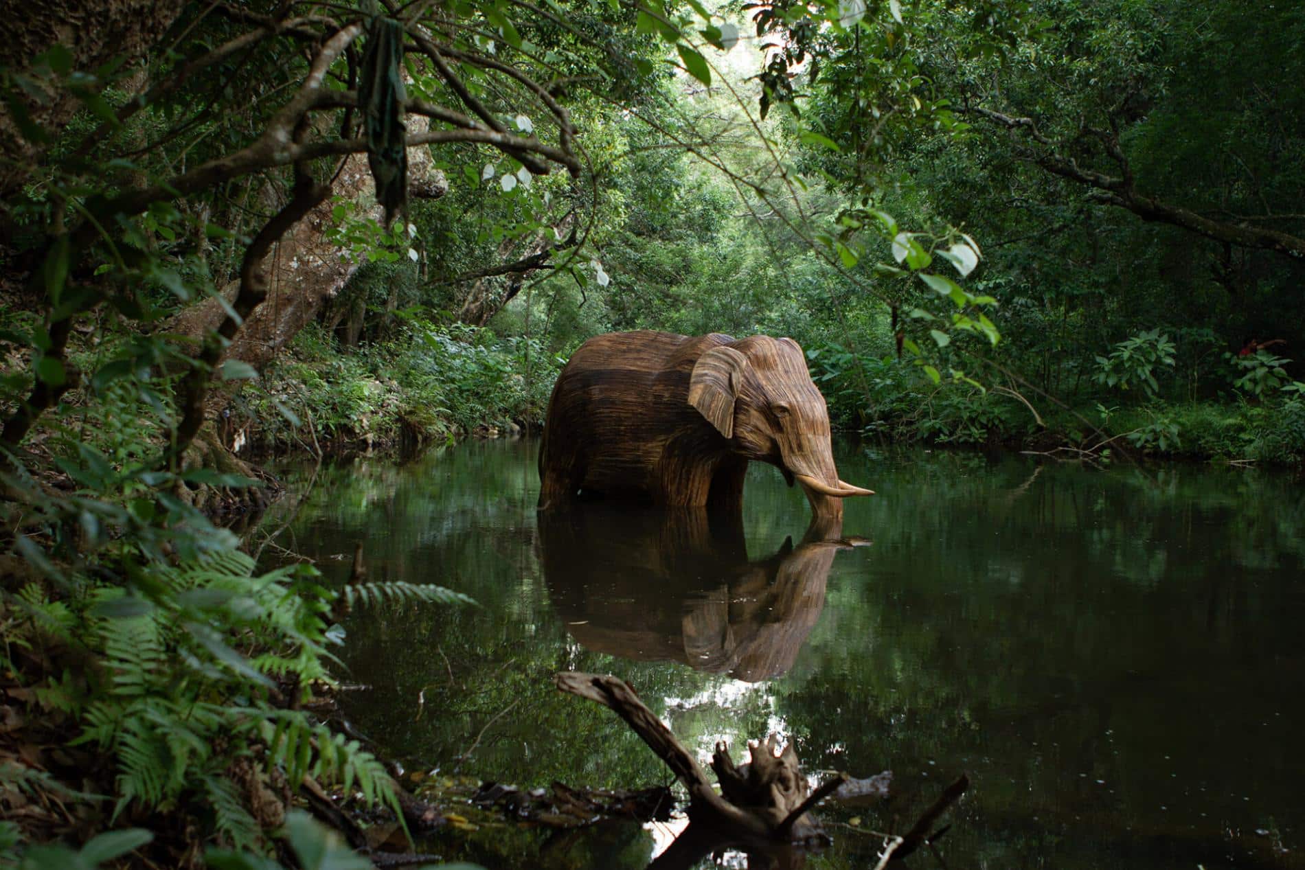 elephant escultura manada medio agua