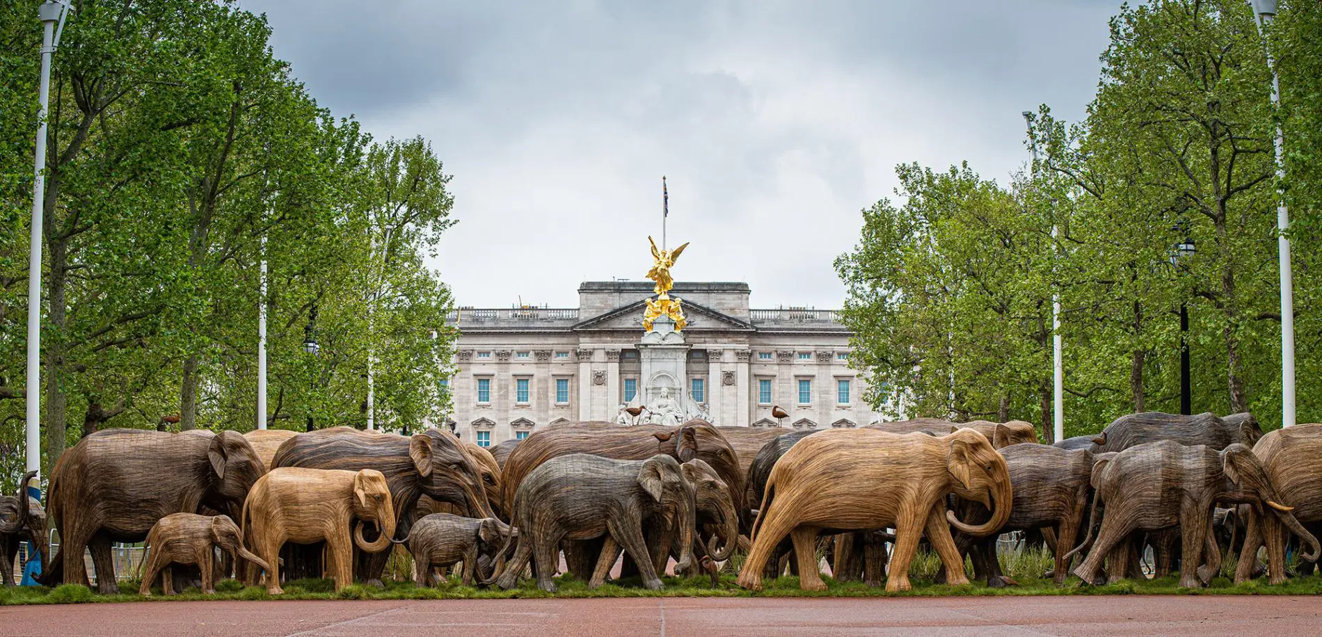 elephant escultura manada medio ambiente