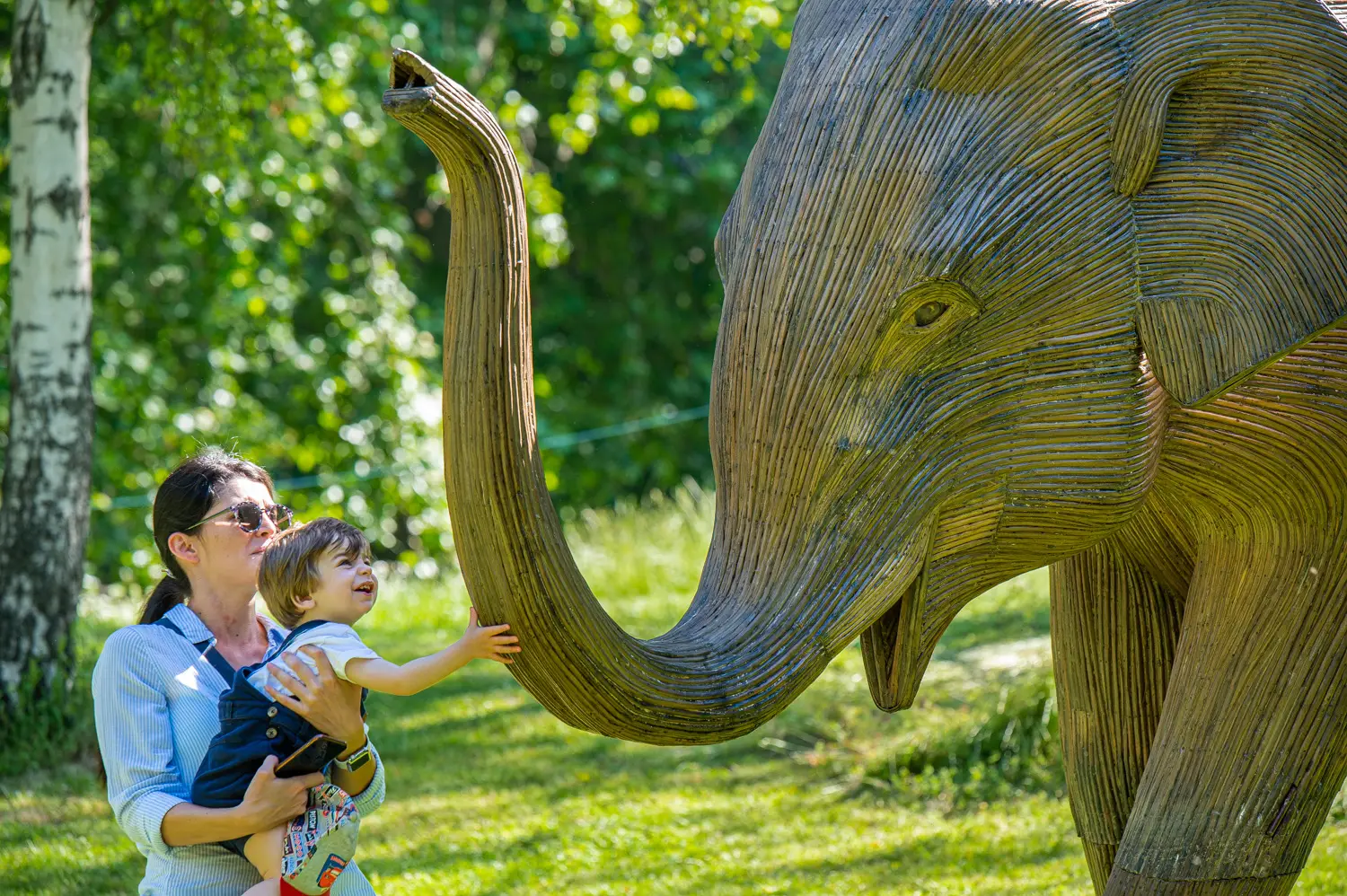 elephant escultura manada medio proyecto coexistance