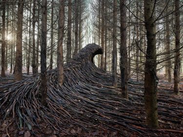 Grandes olas de madera construidas y fotografiadas por Jörg Gläscher