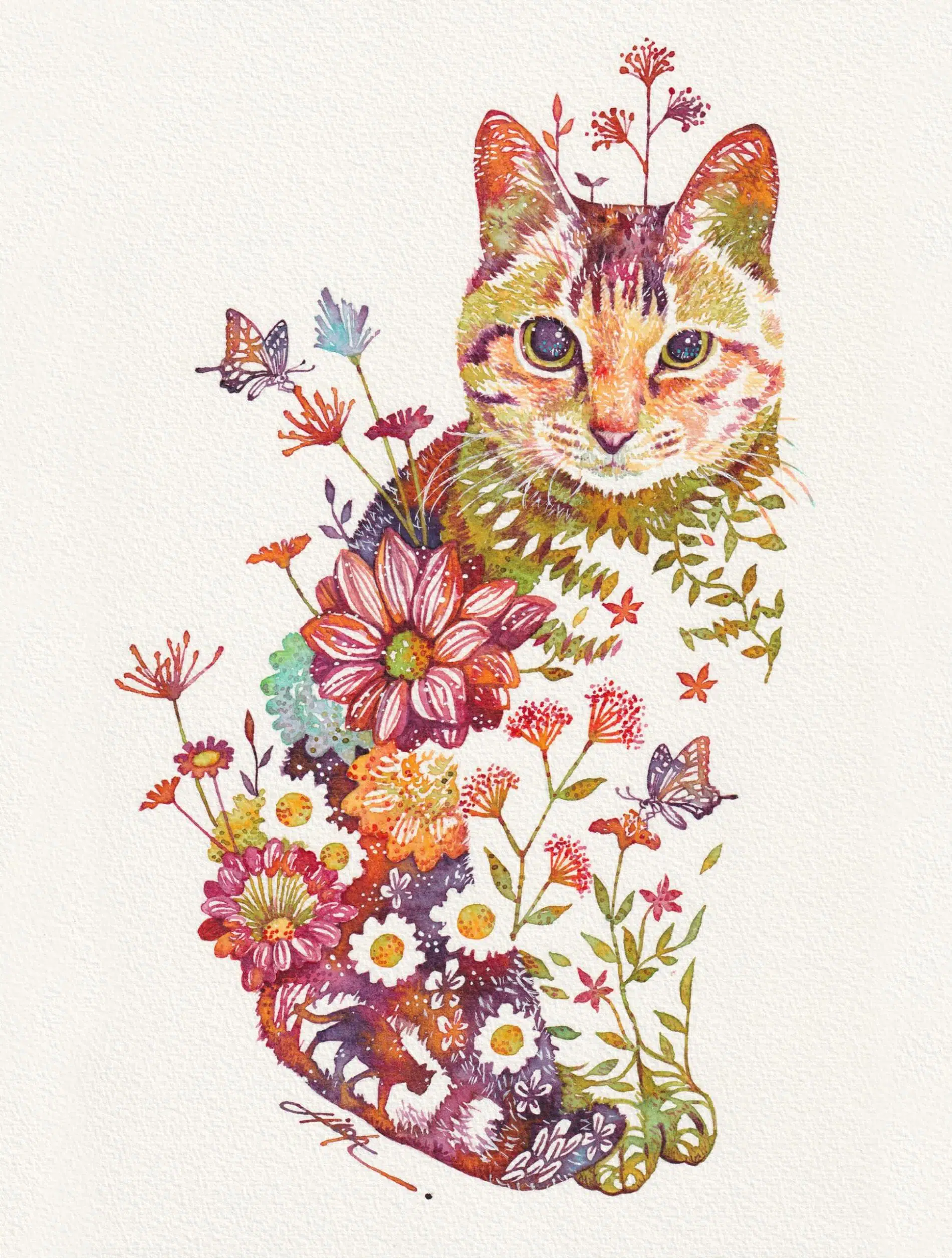 takeda gato floral 2