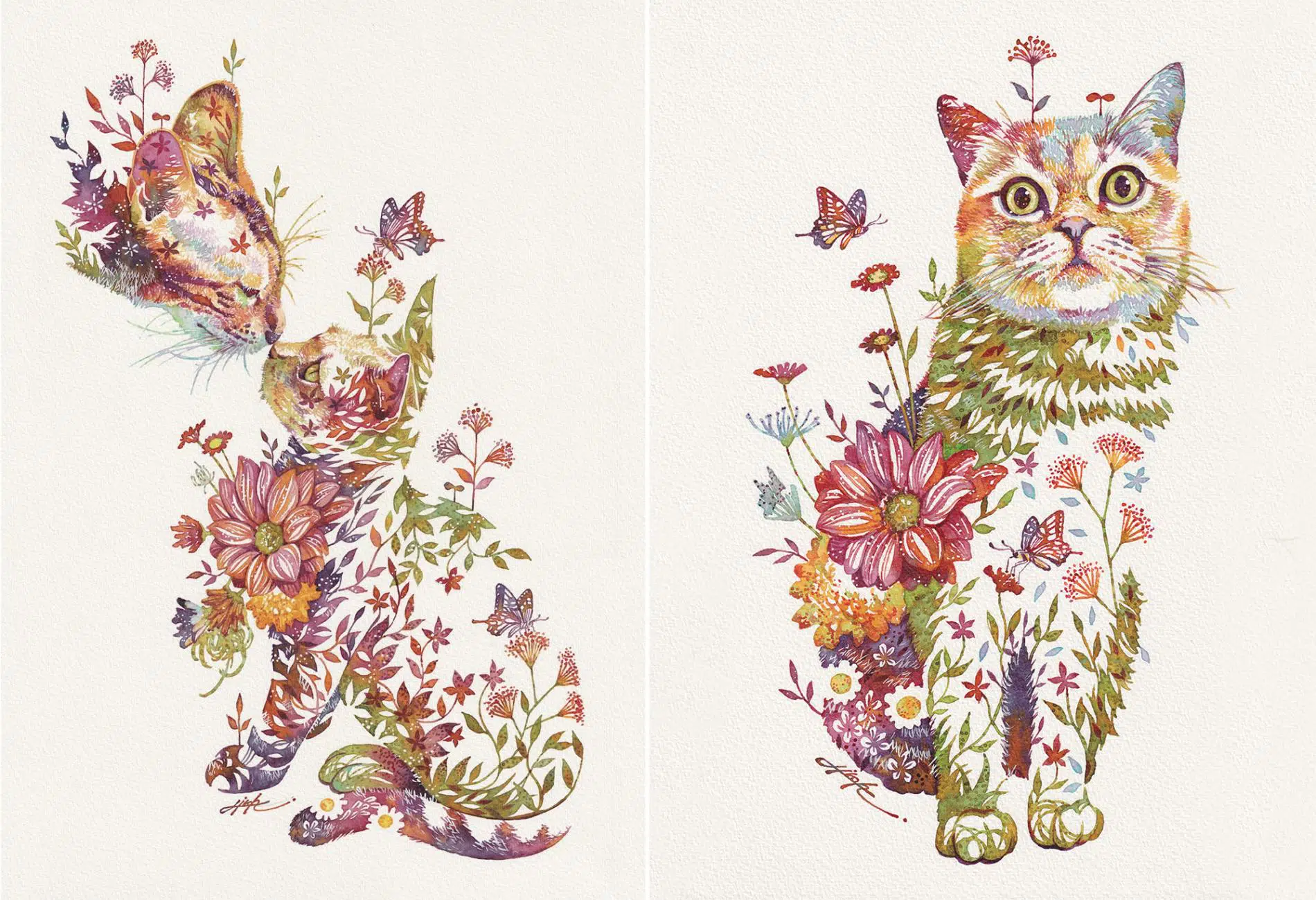 takeda gato floral 3