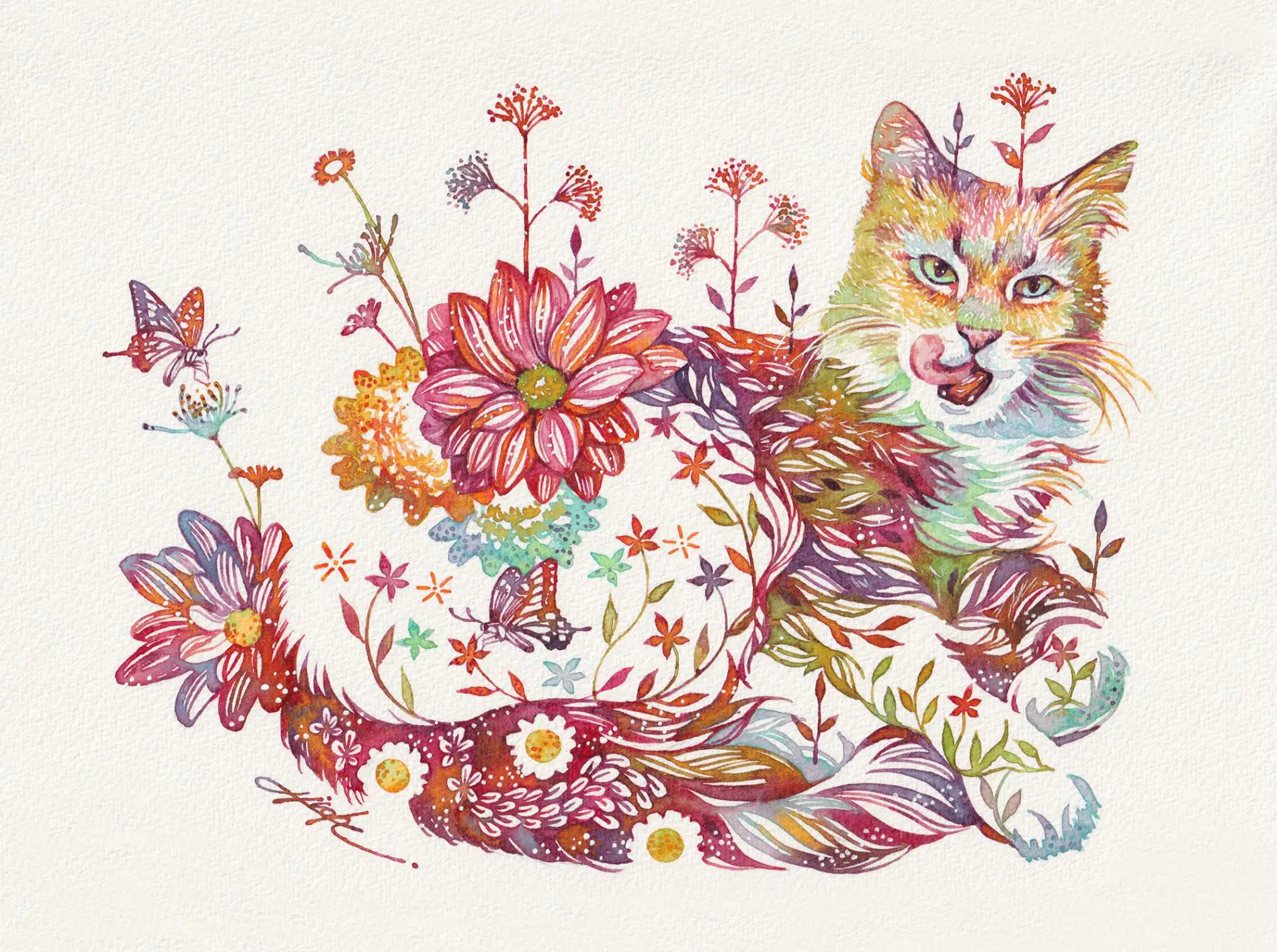 takeda gato floral 4