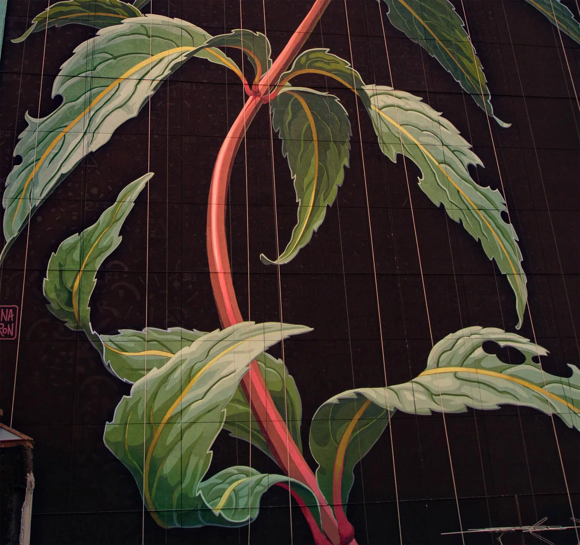 mona caron mural flor silvestre detalle